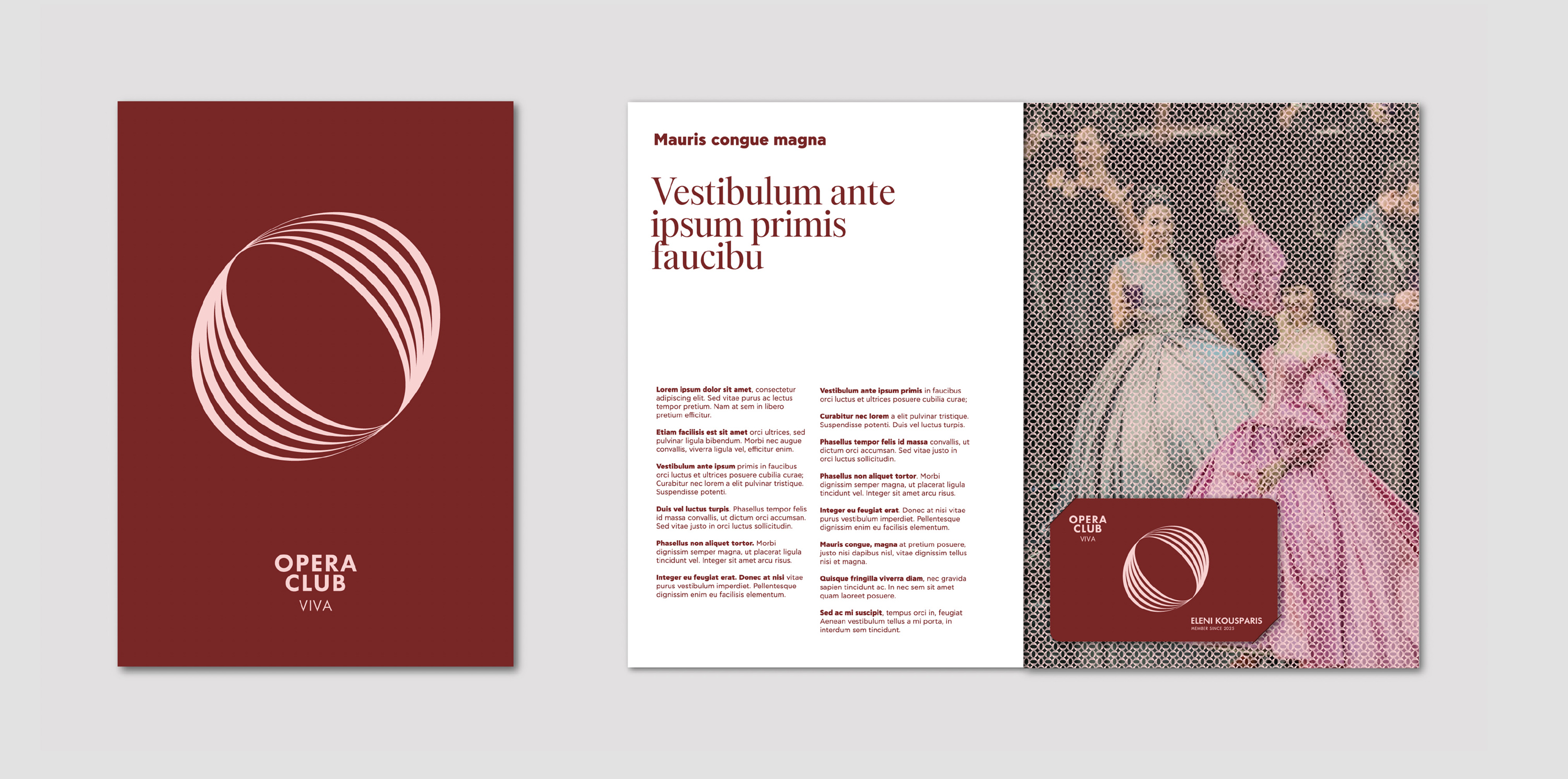 Dimitra Chrona Greek National Opera schema design Greek National Opera Visual identity Membership Programme 13